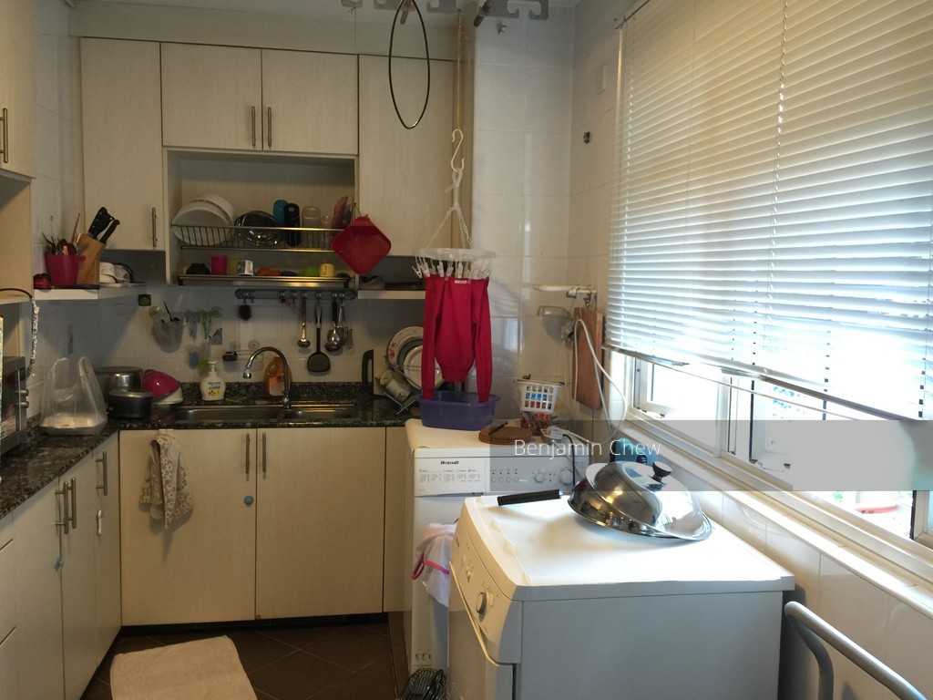 Blk 3B Upper Boon Keng Road (Kallang/Whampoa), HDB 5 Rooms #124659882